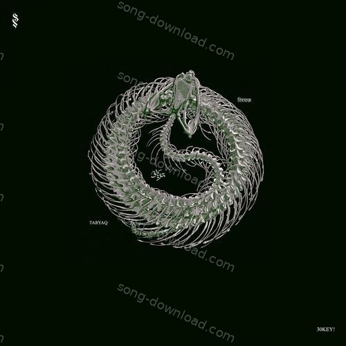 AWARA Ahmer MP3 Download